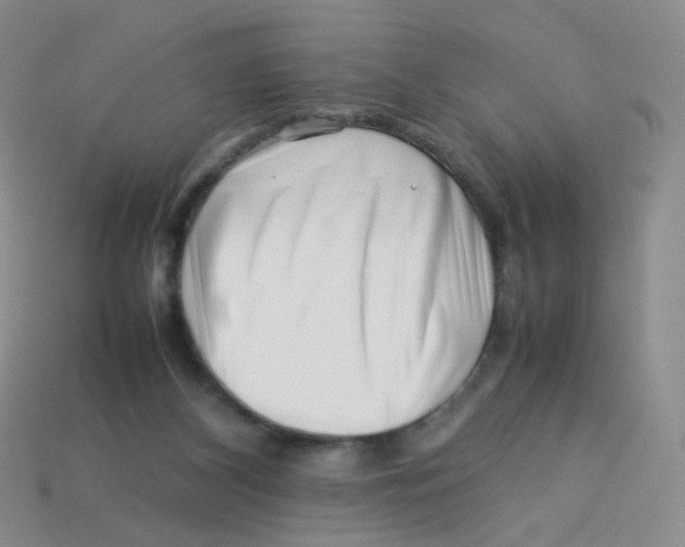 X0000113370116200910131328