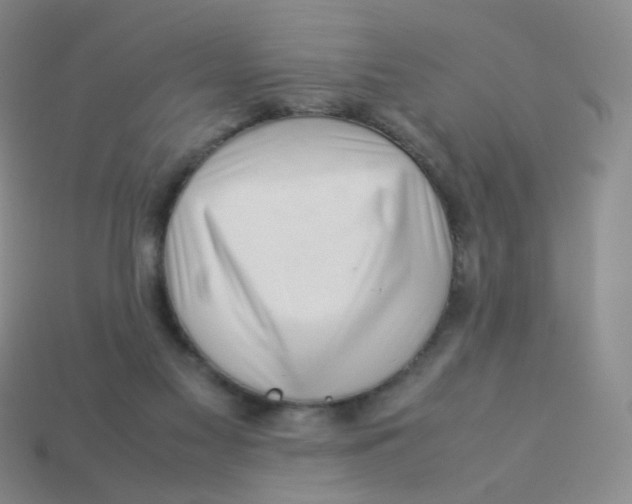 X0000113370117200910131328