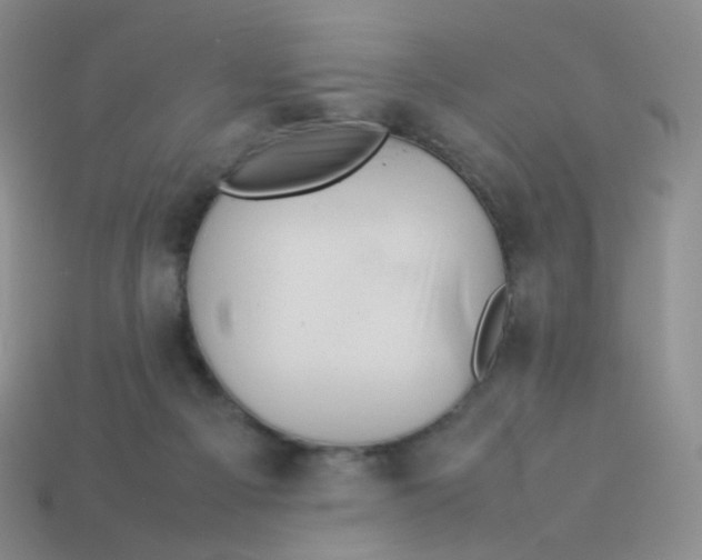 X0000113370121200910131328