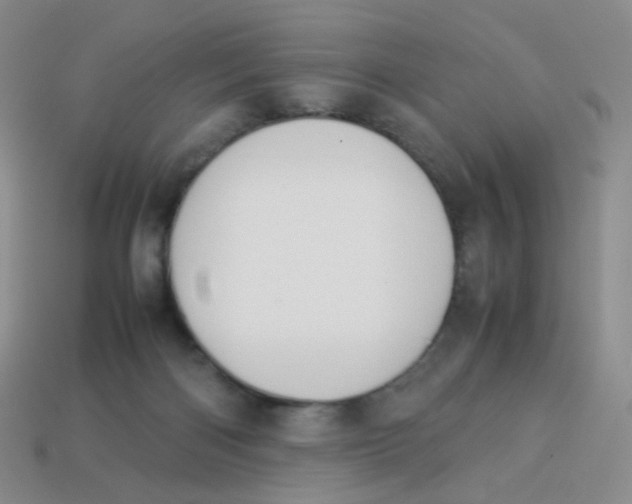 X0000113370122200910131328