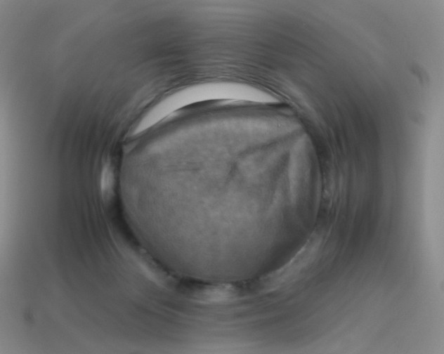 X0000113370124200910131328