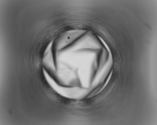 X0000113370125200910131328