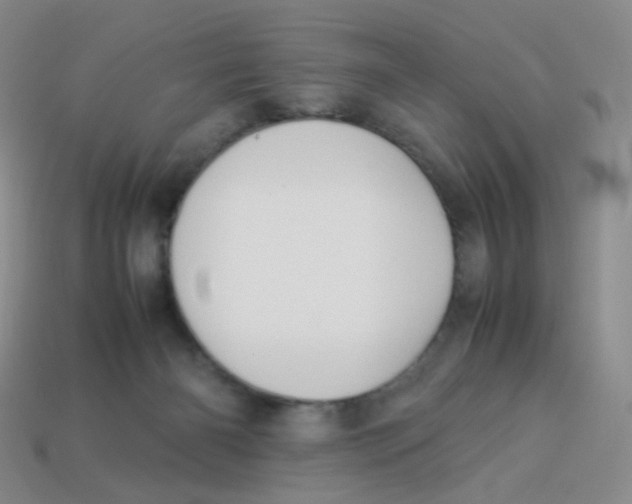 X0000113370126200910131328