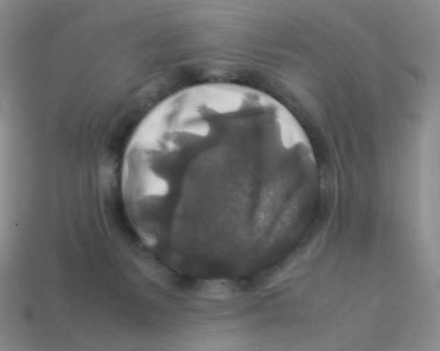 X0000113370127200910131328