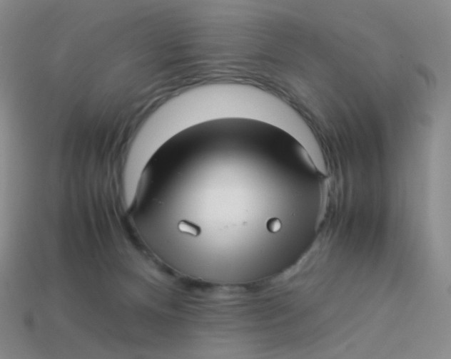 X0000113370128200910131328