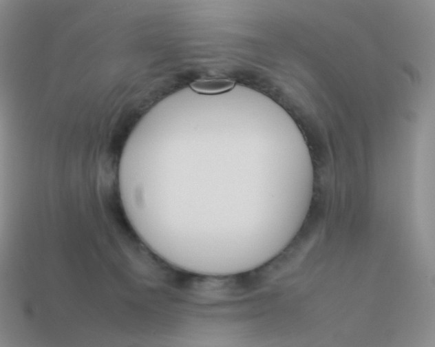 X0000113370129200910131328