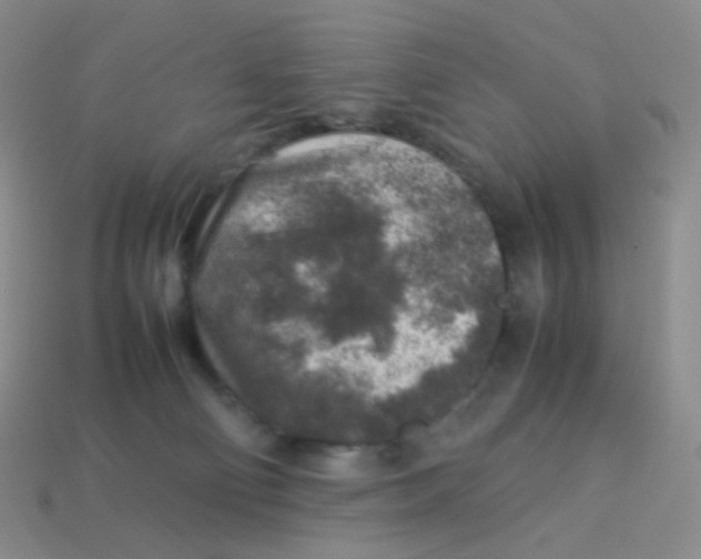X0000113370130200910131328
