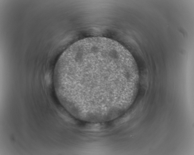 X0000113370131200910131328