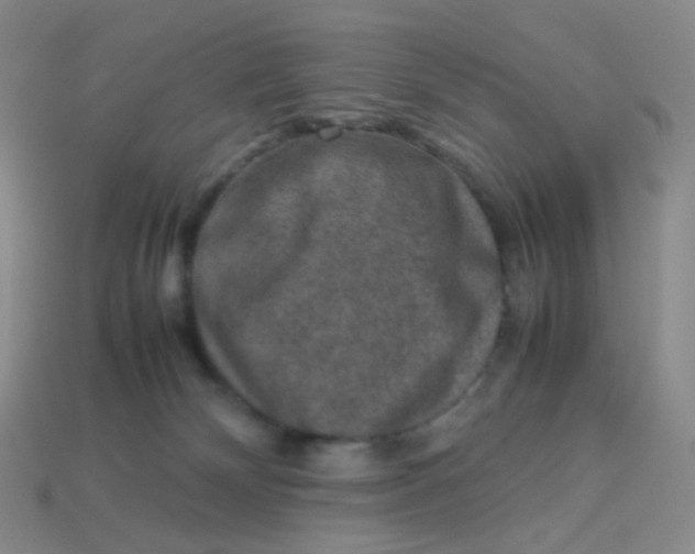 X0000113370132200910131328