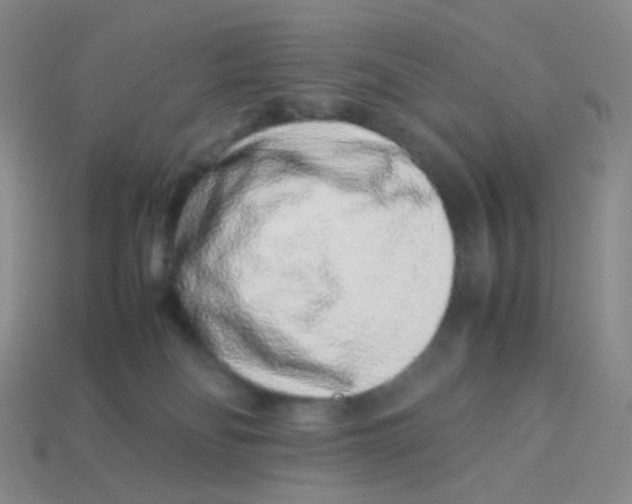 X0000113370134200910131328