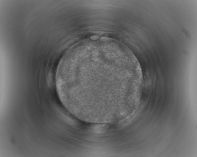X0000113370136200910131328