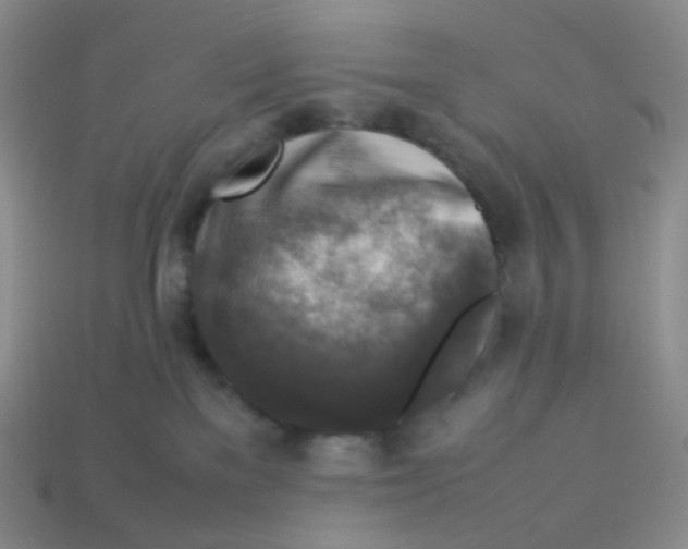 X0000113370137200910131328