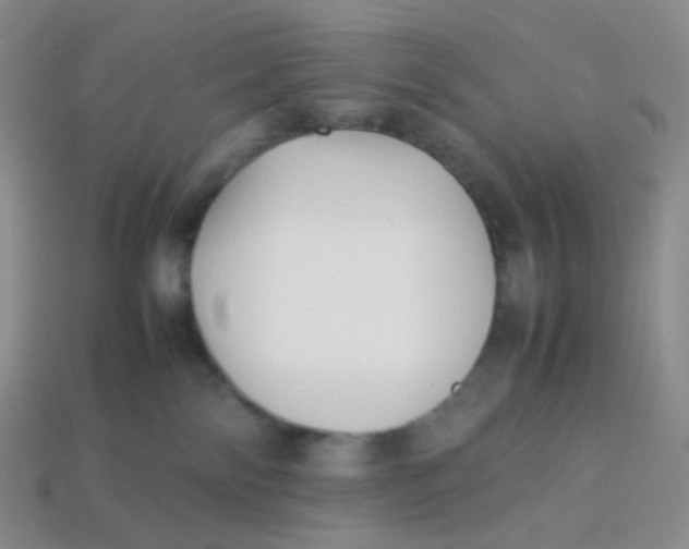 X0000113370138200910131328