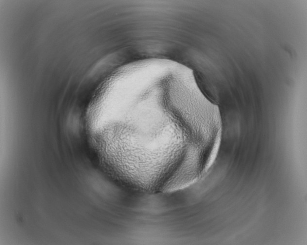 X0000113370140200910131328