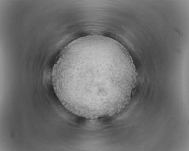 X0000113370141200910131328