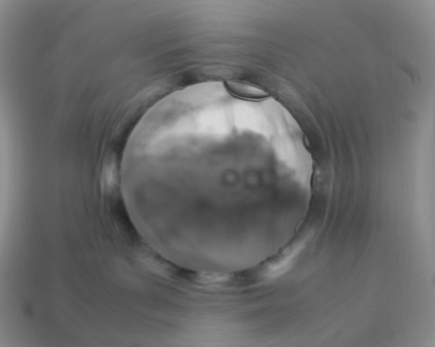 X0000113370143200910131328