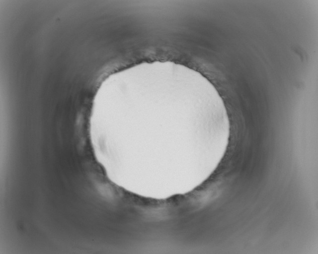 X0000113370144200910131328