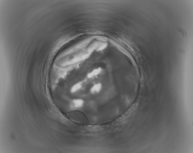 X0000113370145200910131328