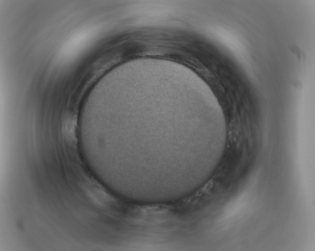 X0000113370146200910131328