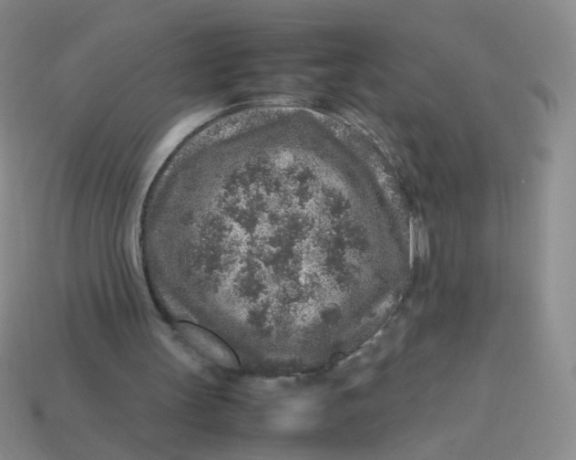 X0000113370147200910131328