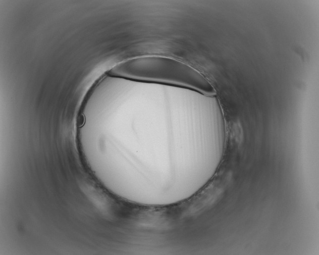 X0000113370148200910131328