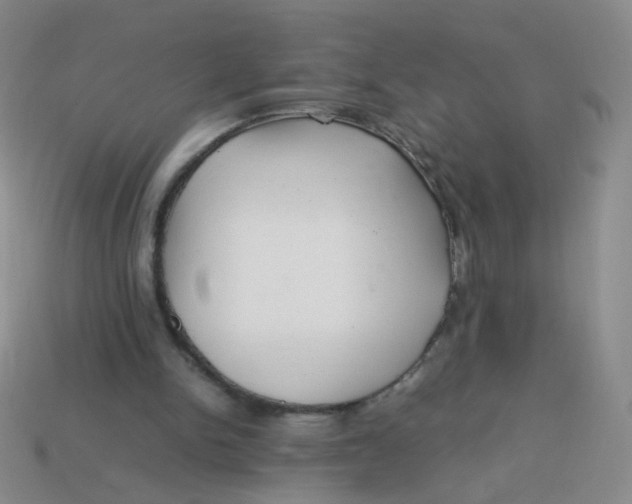 X0000113370150200910131328