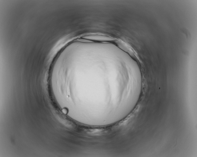 X0000113370151200910131328