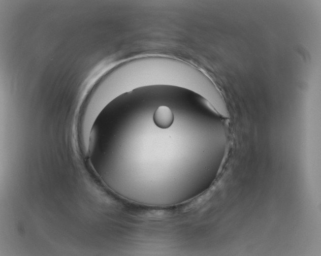 X0000113370152200910131328