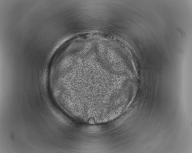 X0000113370156200910131328