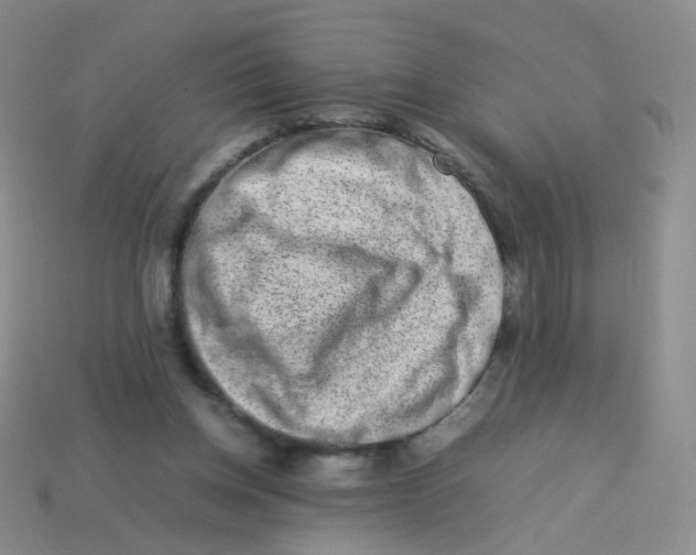 X0000113370158200910131328