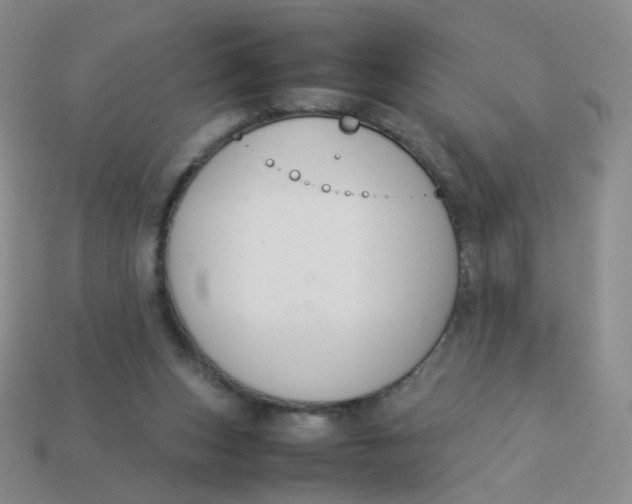 X0000113370159200910131328