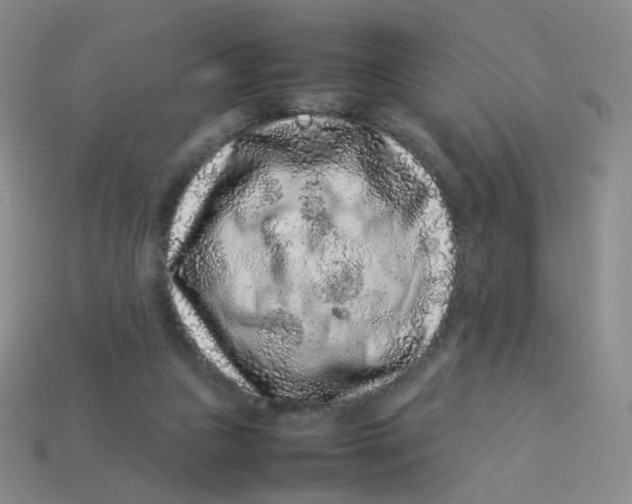 X0000113370161200910131328