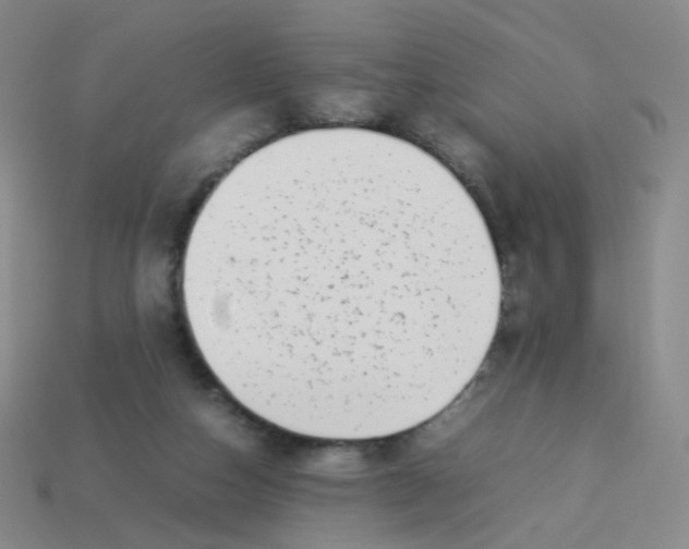 X0000113370162200910131328