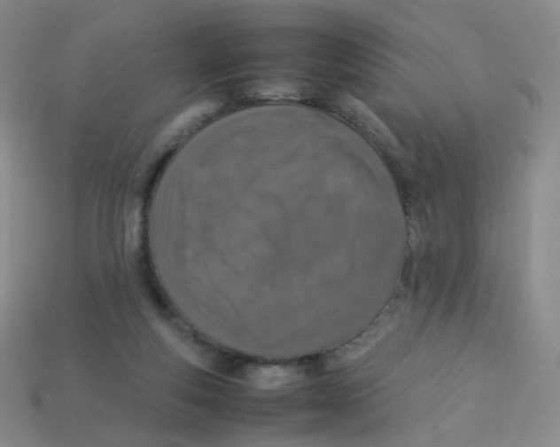 X0000113370163200910131328