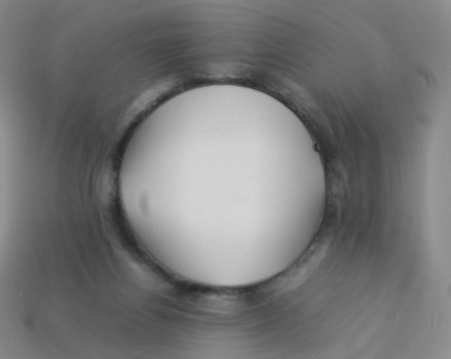 X0000113370164200910131328
