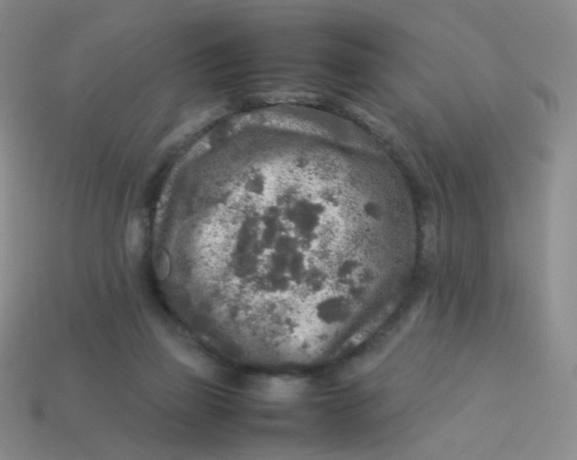 X0000113370165200910131328