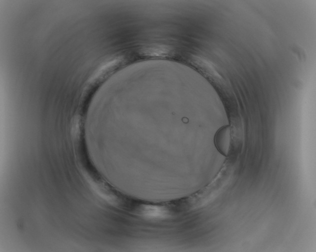 X0000113370167200910131328