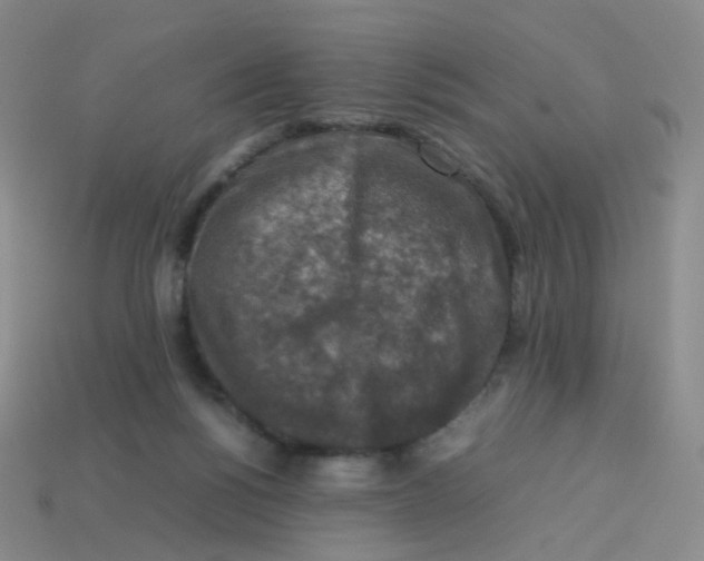 X0000113370168200910131328
