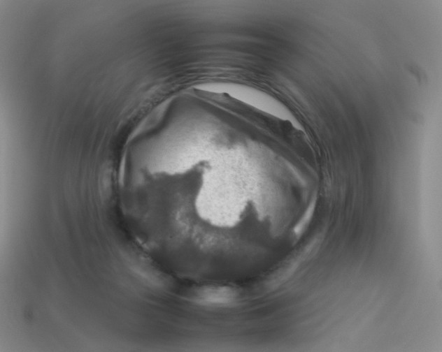 X0000113370169200910131328