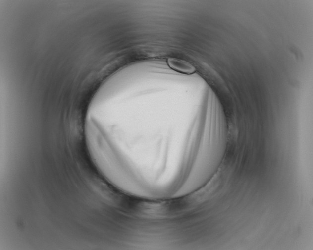 X0000113370170200910131328