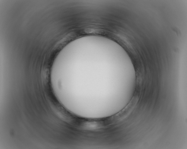 X0000113370171200910131328
