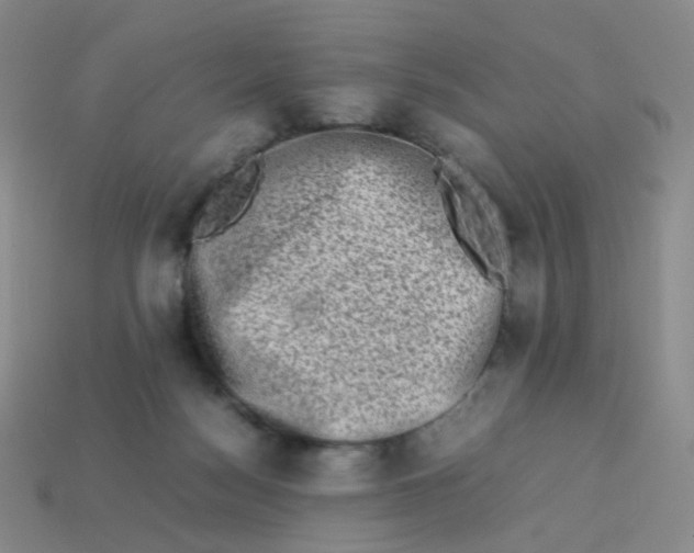 X0000113370172200910131328