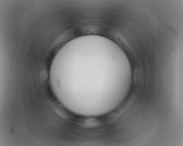 X0000113370173200910131328