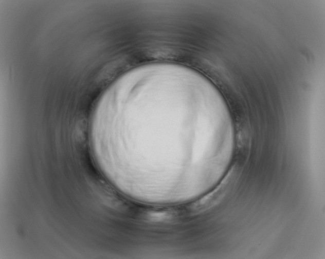 X0000113370175200910131328