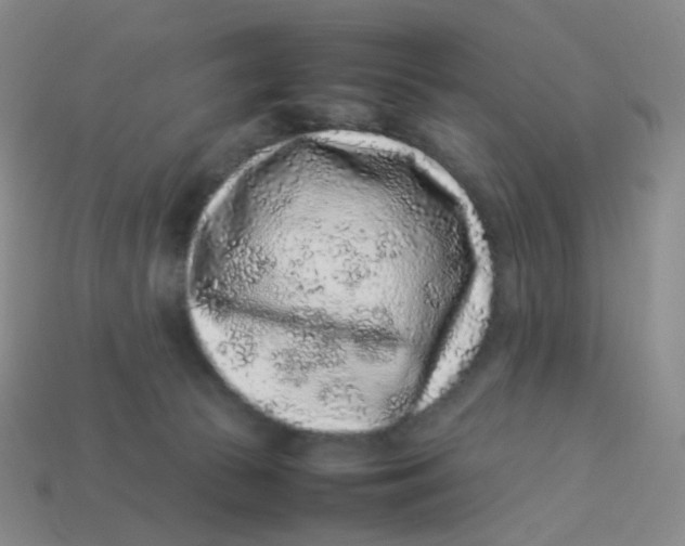 X0000113370177200910131328