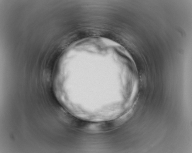 X0000113370178200910131328