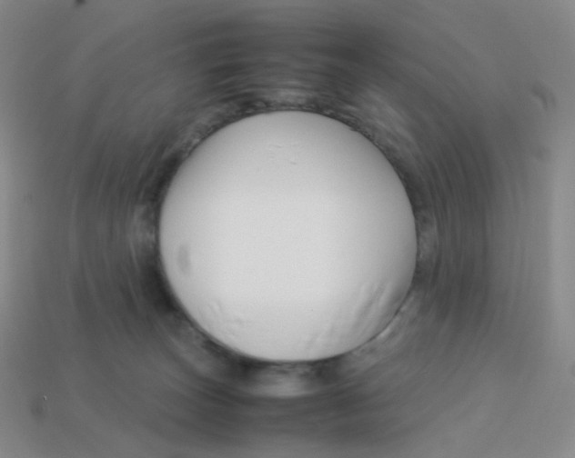 X0000113370179200910131328