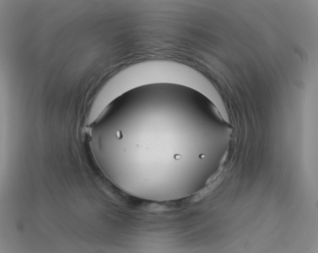 X0000113370180200910131328
