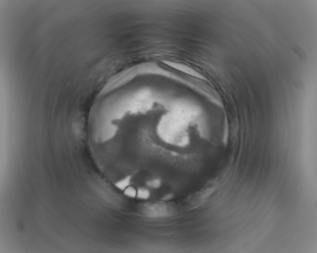 X0000113370181200910131328