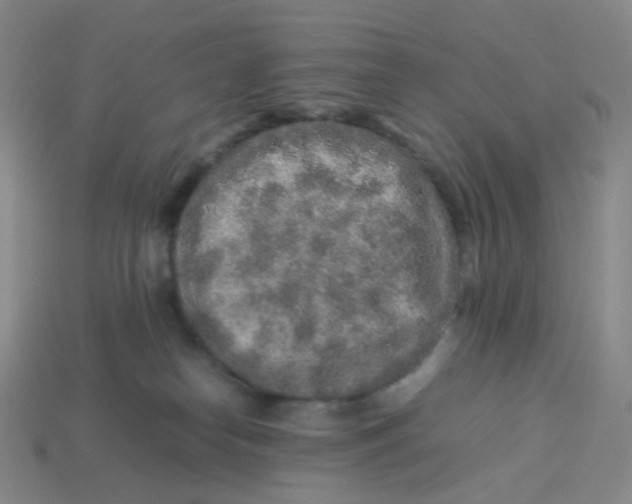 X0000113370182200910131328